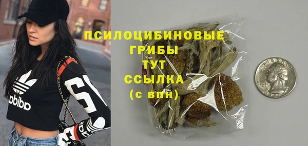 мет Аркадак