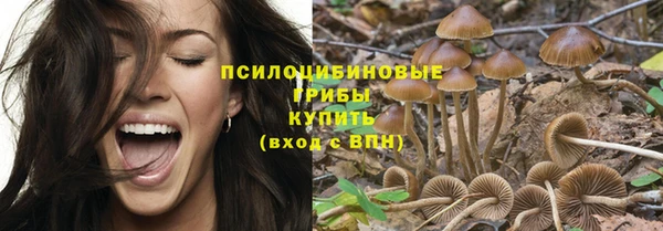 мет Аркадак